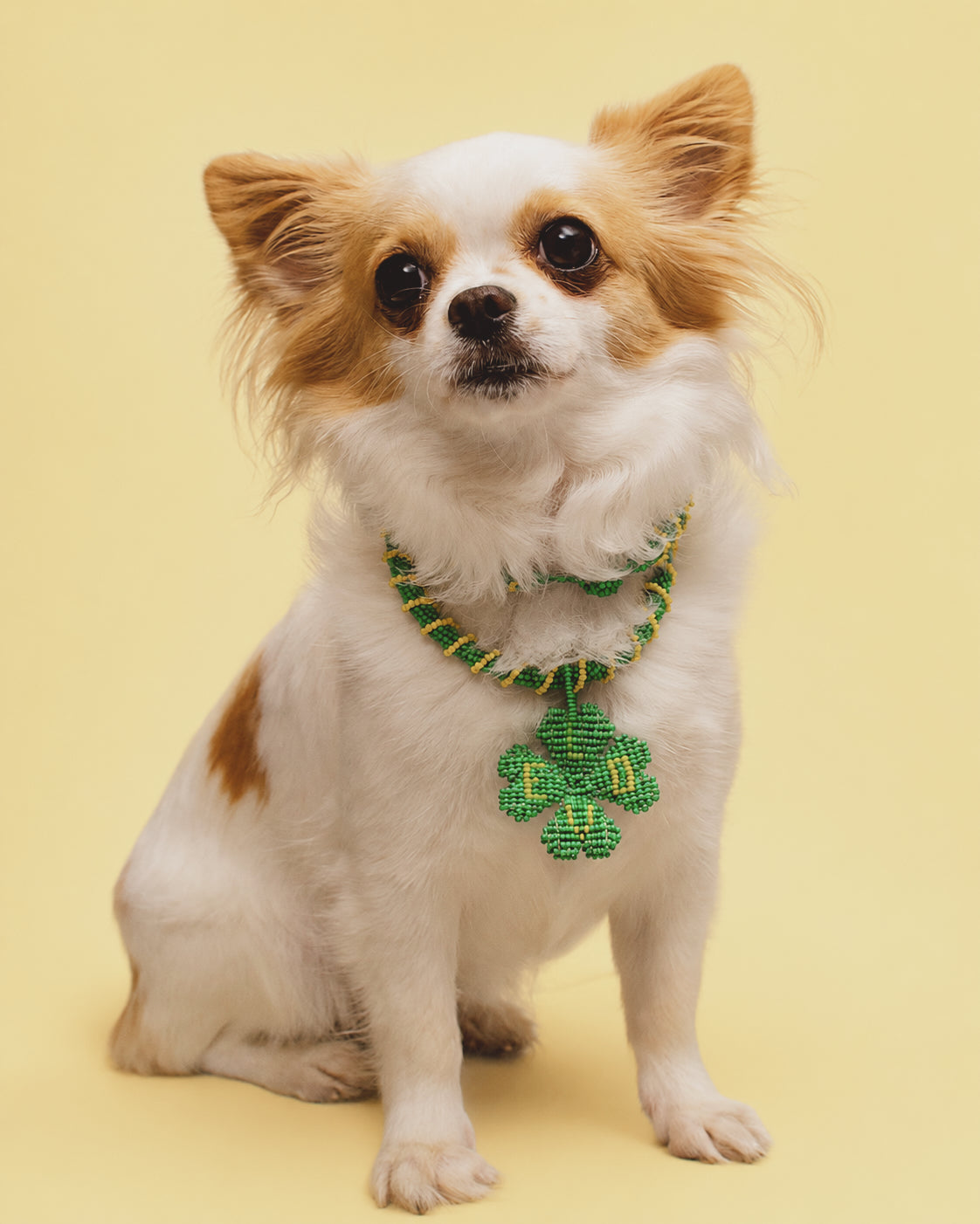 Lucky Clover Chunky Necklace